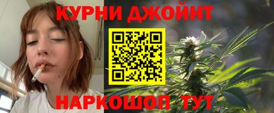 сатива Малгобек