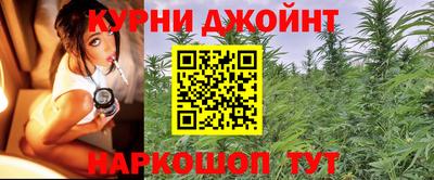 сатива Малгобек