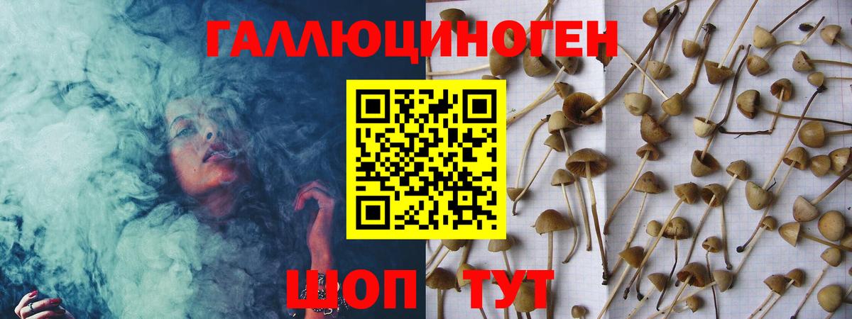 Псилоцибиновые грибы Magic Shrooms Еманжелинск